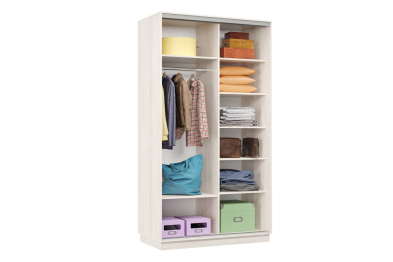 Шкаф-купе Премьер Лайт 04 П-3159 двухдверный