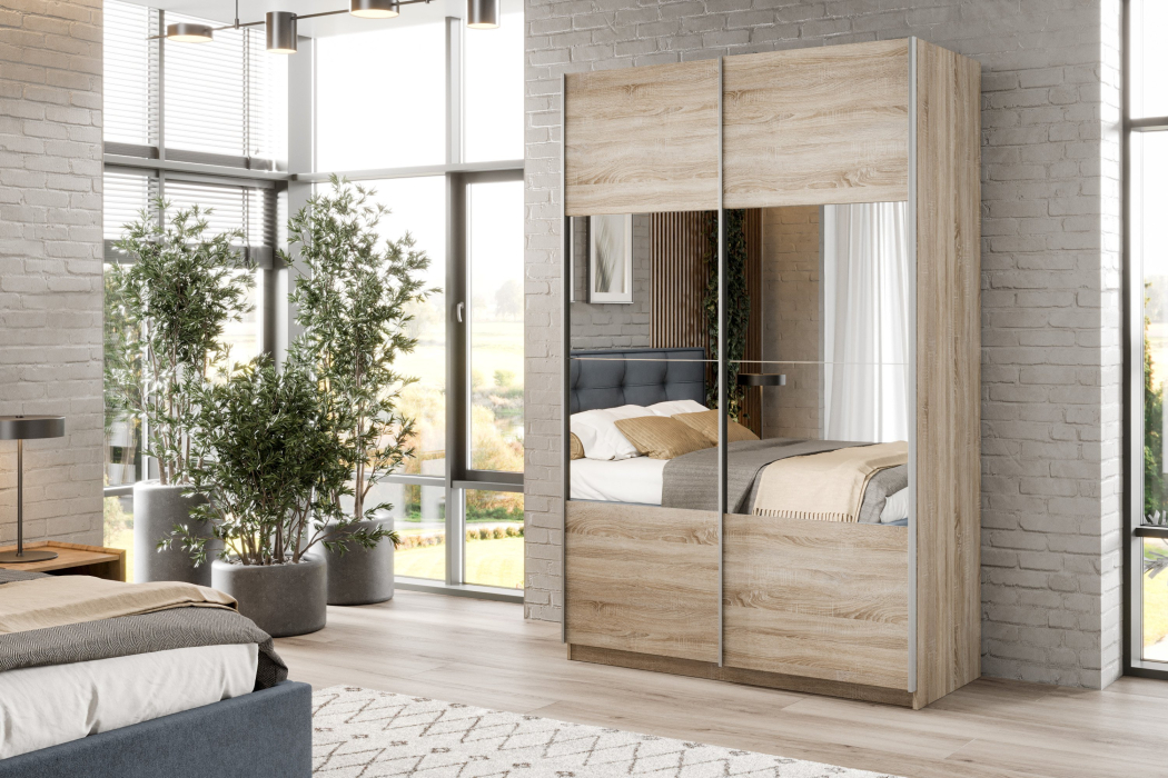 Шкафы-купе 2-х дверные, Шкаф-купе Smart 1224 2х дверный (фасады ЛДСП/зеркало) профиль серебро