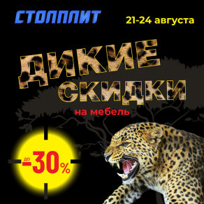 ДИКИЕ СКИДКИ