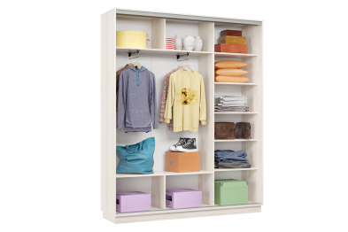 Шкаф-купе Премьер Лайт 21 (05;05;05) трехдверный