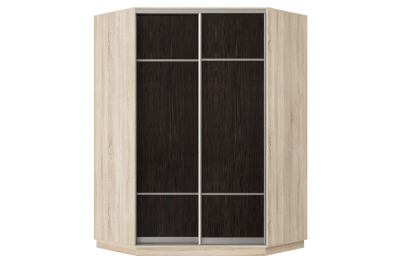 Шкаф-купе Премьер Лайт 71 угловой (08;08) двухдверный