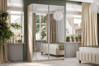 Шкаф-купе Smart 1422 2х дверный (фасады зеркало) профиль серебро