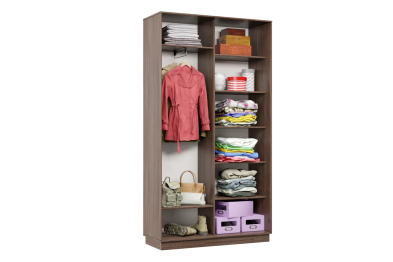 Шкаф-купе Премьер МИНИ 01 (12;13) двухдверный