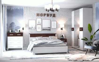 Норвуд 54 Шкаф для одежды 2-дв Зеркало