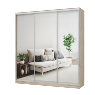Шкафы-купе 3-х дверные, Шкаф-купе 3-дв  Роланд Р223  (в2360*ш2200*г590)