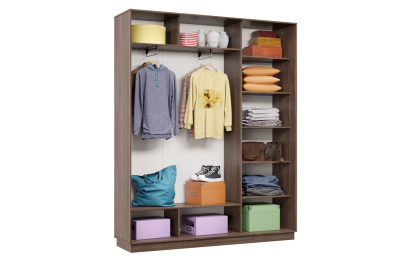 Шкаф-купе Премьер 21 (16;16;16) трёхдверный