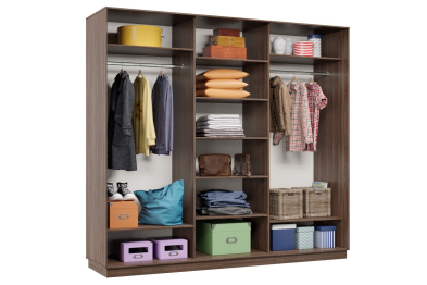 Шкаф-купе Премьер 54 (15;15;15) трёхдверный