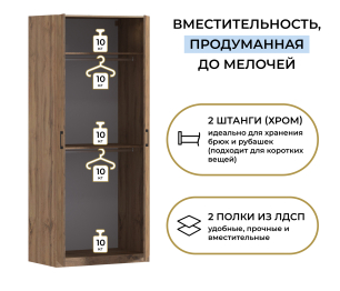 Шкаф двухдверный Макс 1000 мм, вариант №4 (ЛДСП, корпус дуб вотан)