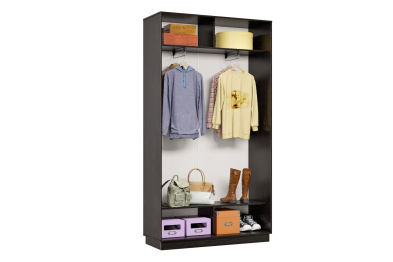 Шкаф-купе Премьер 05 (12;13) двухдверный