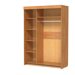 Шкаф-купе шк-19 двухдверный с зеркалом