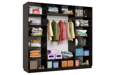 Шкаф-купе Премьер Лайт 64 (02;02;02) трехдверный