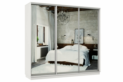 Шкаф-купе Премьер 55 Белый