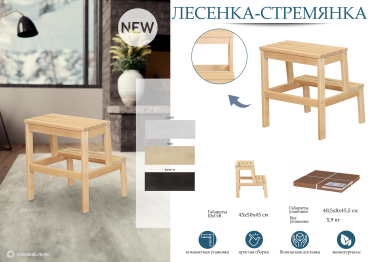Лесенка-стремянка снег