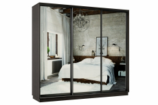 Шкафы-купе, Шкаф-купе Премьер 55 Венге