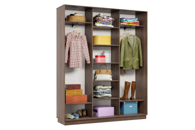 Шкаф-купе Премьер 25 (16;16;16) трёхдверный