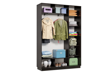 Шкаф-купе Премьер 11 (12;13) двухдверный