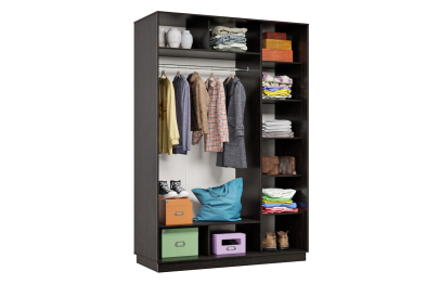 Шкаф-купе Премьер 12 (12;13) двухдверный