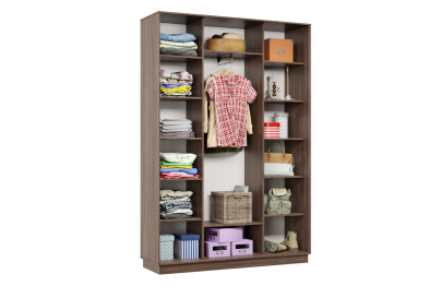 Шкаф-купе Премьер 15 (16;16;16) трёхдверный