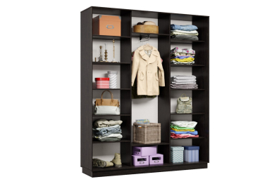 Шкаф-купе Премьер Лайт 31 (02;02;02) трехдверный