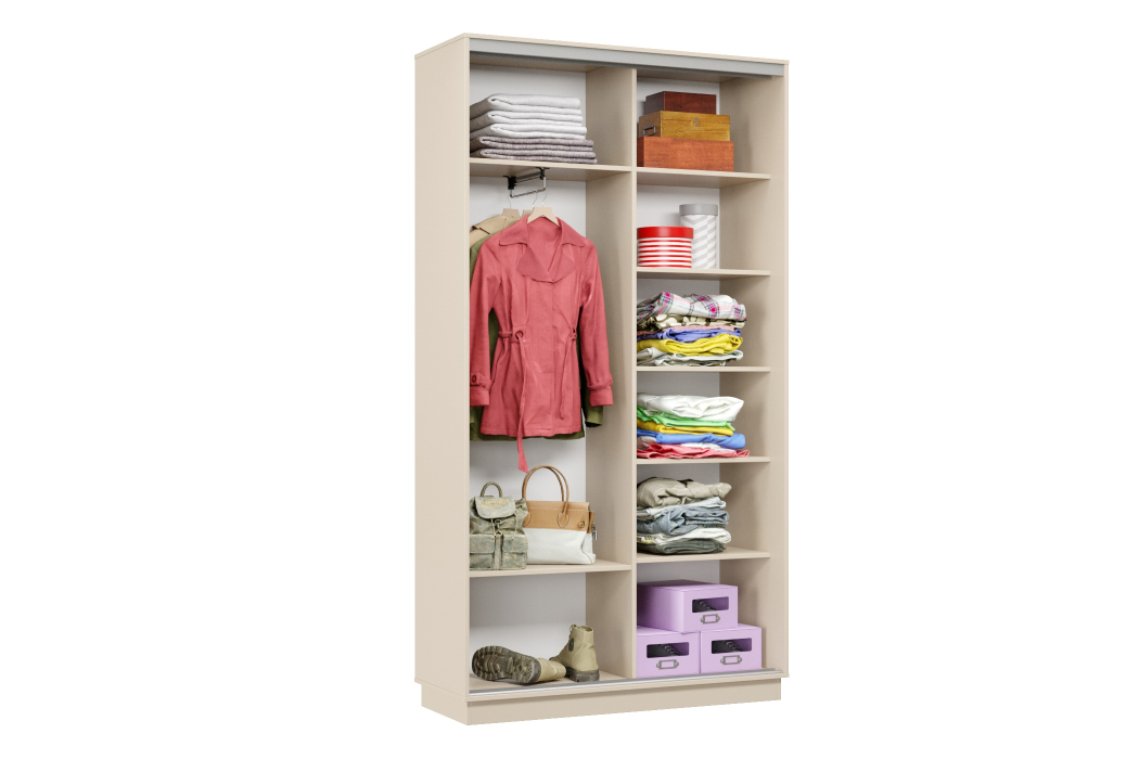 Шкафы-купе 2-х дверные, Шкаф-купе Премьер Лайт МИНИ 03 (08;08) двухдверный