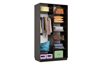 Шкаф-купе Премьер Лайт 02 (02;02) двухдверный