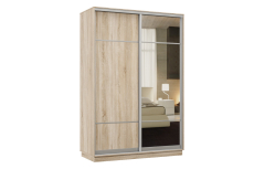 Шкафы-купе, Шкаф-купе Премьер Лайт 04 (08;11) двухдверный