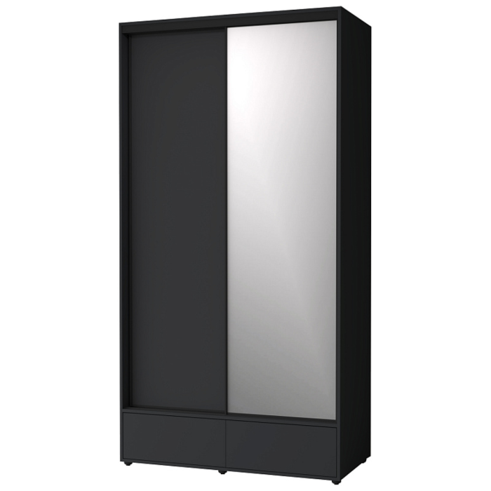 Шкафы-купе 2-х дверные, Шкаф-купе 2-дв  MOD 1200 зеркало/лдсп  (в2390*ш1232*г620)