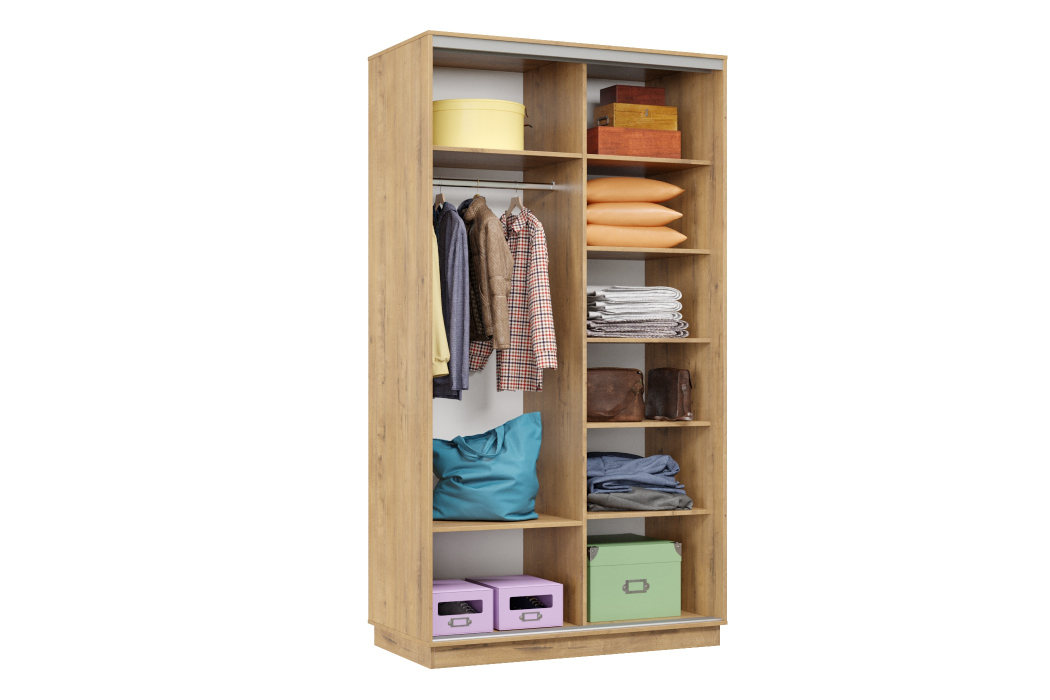 Шкафы-купе, Шкаф-купе Премьер Лайт 02 (05;05) двухдверный