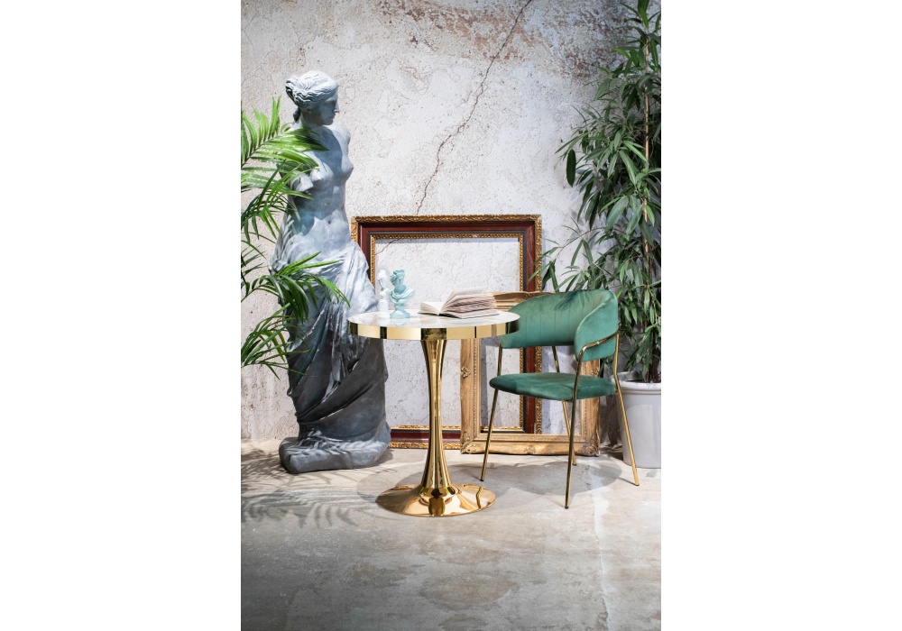 Стулья, Стул Kamelia gold
