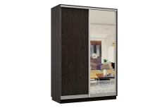 Шкафы-купе, Шкаф-купе Премьер Лайт 04 (02;01) двухдверный