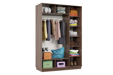 Шкаф-купе Премьер 12 (12;13) двухдверный