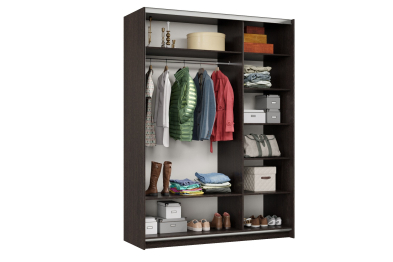 Шкаф-купе Smart 1624 2х дверный (фасады ЛДСП,зеркало) профиль серебро